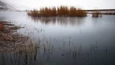 آبگیری تالاب حسنلوی نقده آغاز شد