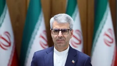 آخرین وضعیت تبعه ایرانی و فرزندش که در سوریه گیر افتاده بودند+ عکس
