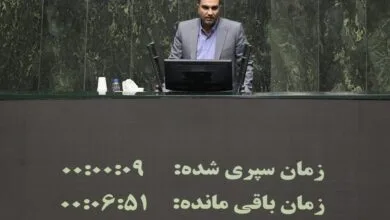 پوردهقان: وفاق باعث هم‌افزایی می‌شود