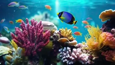 ترفندهای تمیز کردن آسان آب آکواریوم