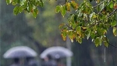 بارش پراکنده باران در استان بوشهر