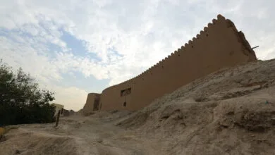 5091829.jpg