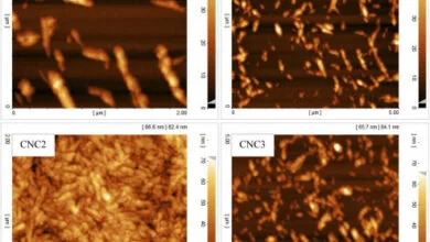 افزایش مقاومت زیستی چوب صنوبر با نانوالیاف کریستال