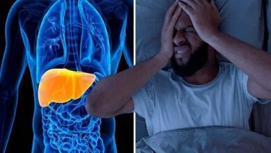 پایگاه اطلاع رسانی عکاسان