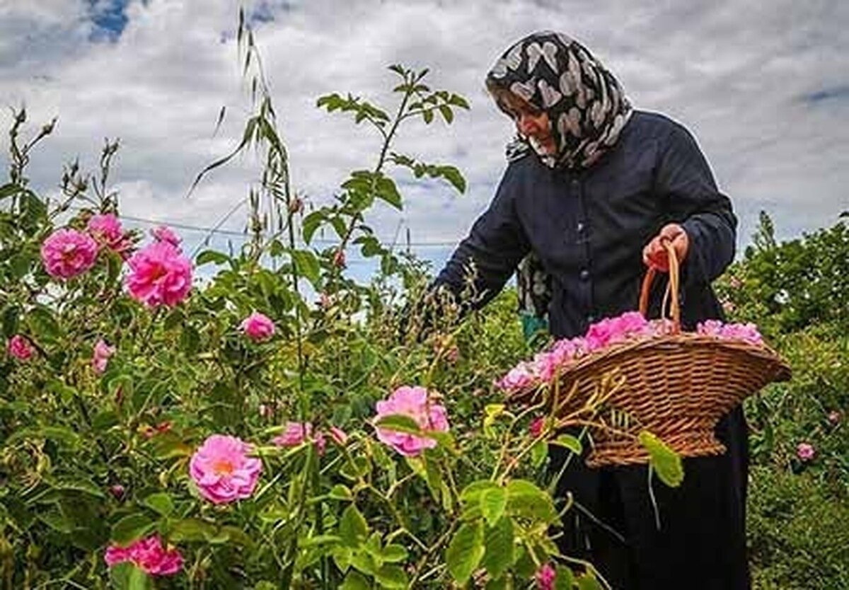 قمصرگردی اطراف پایتخت