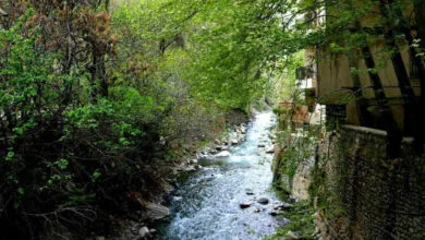 پاکسازی حاشیه رودخانه کن، به زودی پاکسازی حاشیه رودخانه کن، به زودی