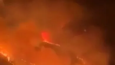 جنگل‌های غرب عربستان در محاصره آتش + فیلم