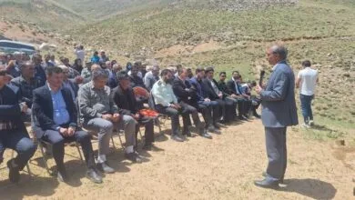 مراتع همدان ۳ درصد علوفه کشور را تامین می‌کند