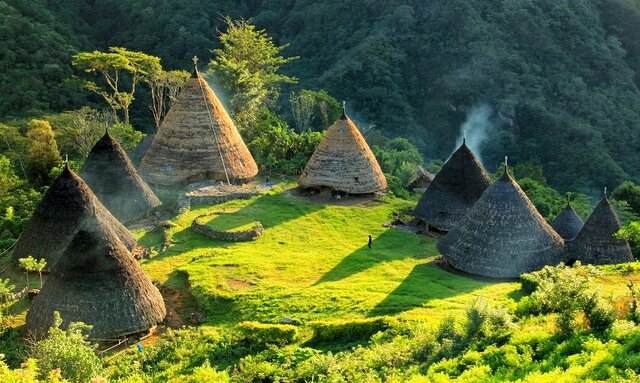 بومگردی؛ سفر پایدار برای سیاره‌ای سبزتر