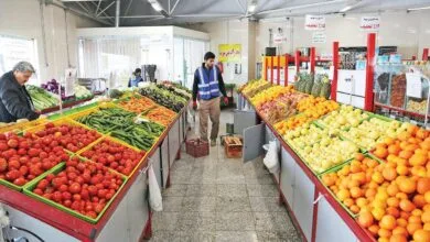 راه اندازی صندوق سبز در میادین میوه و تره بار