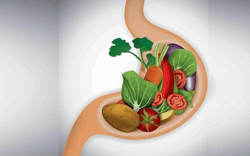 غذاهای ساده برای افرادی که معده درد دارند