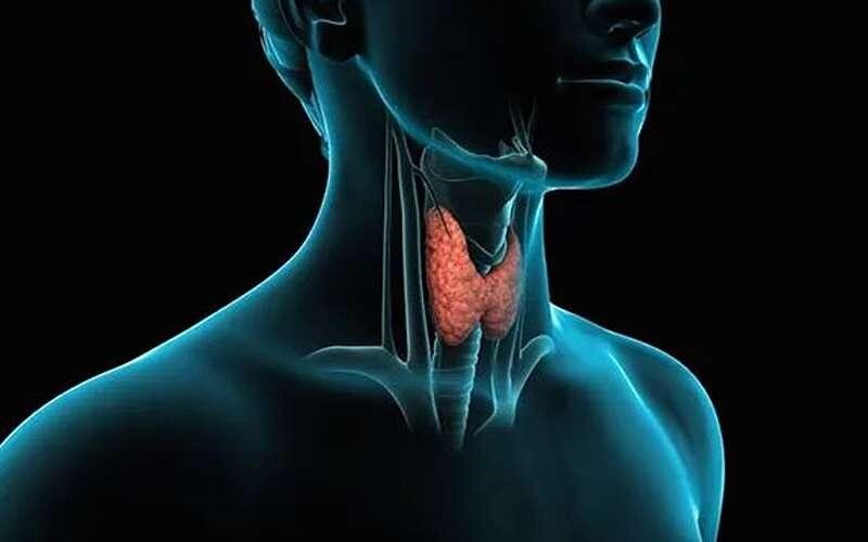 نشانه‌های اختلال در عملکرد تیروئید