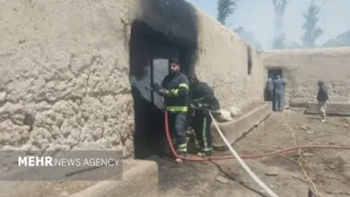 پایگاه اطلاع رسانی عکاسان