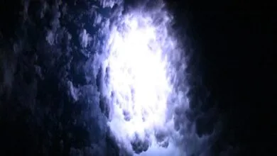 63481703.jpg