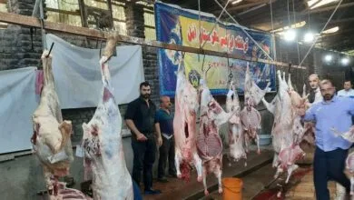 «قربونی سری»، روایت سفره‌ای به رنگ بخشش و همدلی