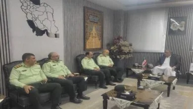 63485196.jpg