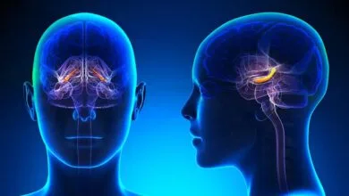 پایگاه اطلاع رسانی عکاسان