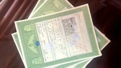 95587.jpg