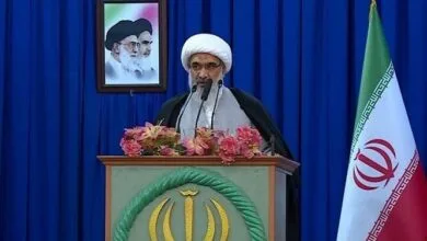 امام جمعه بوشهر: نخلداری در استان اقتصادی‌تر و جذاب‌تر شود