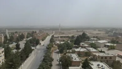 پایگاه اطلاع رسانی عکاسان