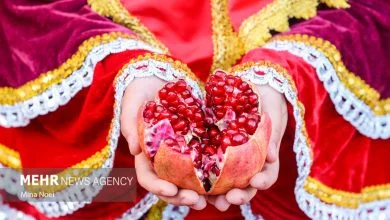 اینفوگرافیک؛ انار سیستان و بلوچستان به روایت آمار